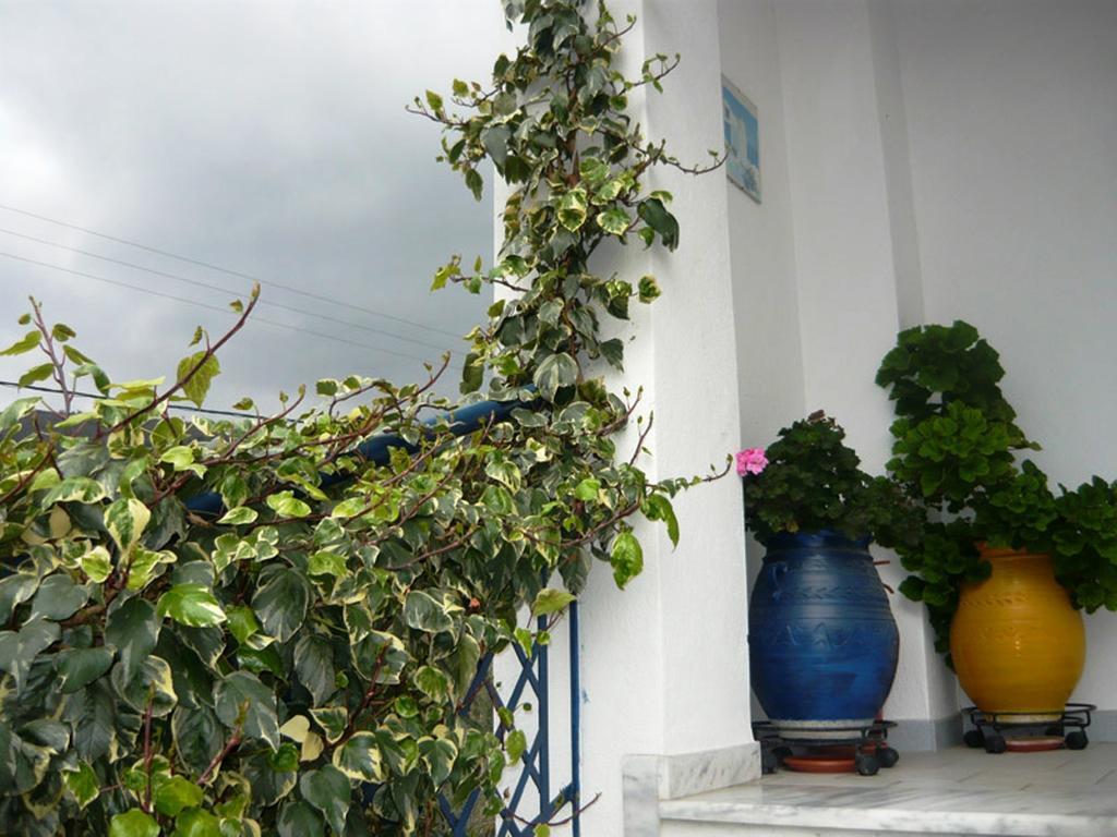 Villa Stegiovana Stavros  Exteriér fotografie